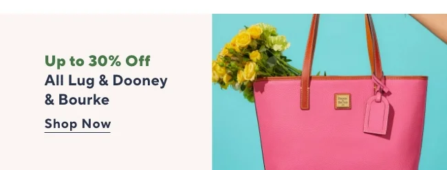 Handbag Sale