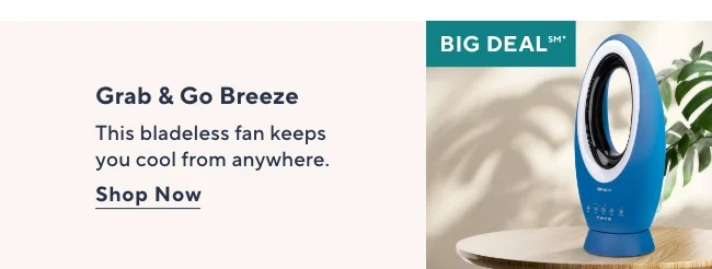 Airvana Big Deal