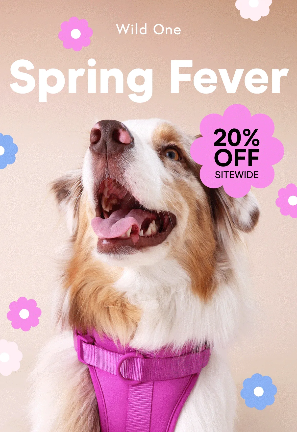 Spring Fever - 20% Off Sitewide