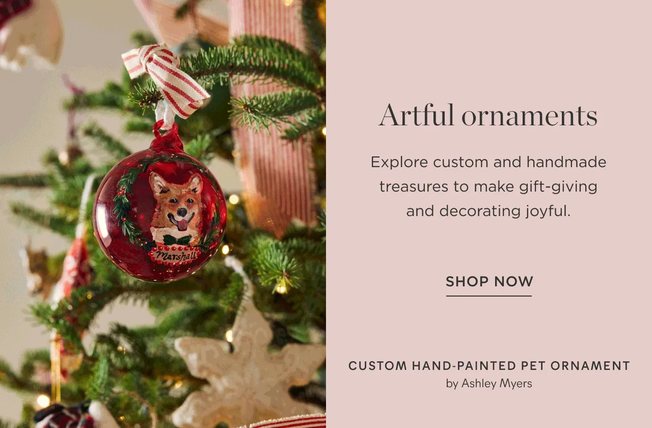 Shop Now