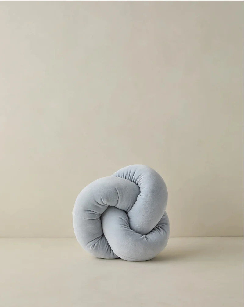 Shop Dewey Velvet Pillow