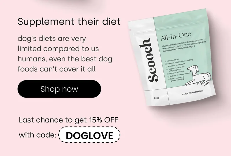 Supplement their dies - Shop All-In-One