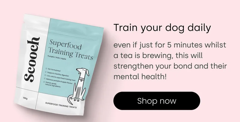 Train your dog daily - Shop Training Treats