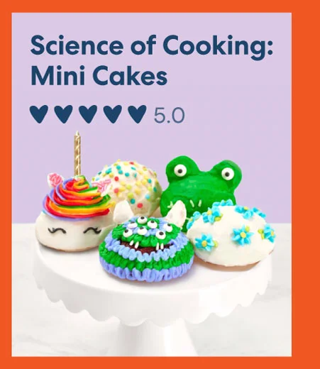 Science of Cooking: Mini Cakes