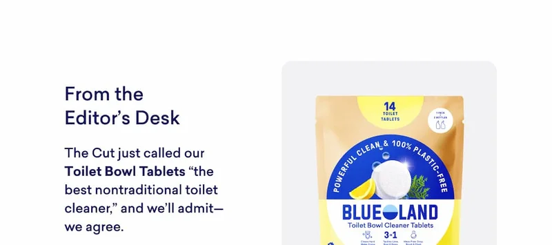 From the Editor's Desk: Our Toilet Bowl Cleaner Tablets!