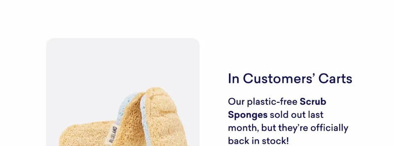 In Customer's Carts: Scrub Sponges!