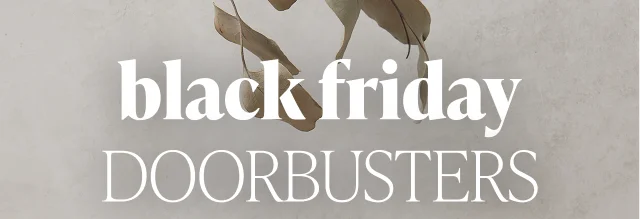 Black Friday - Doorbusters - Image