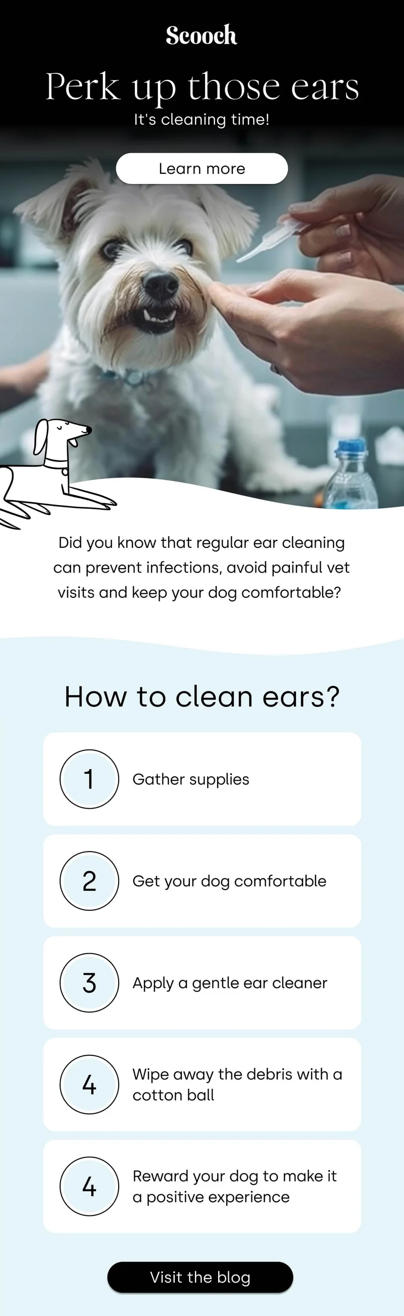 It's cleaning time! How to clean ears? - Learn more