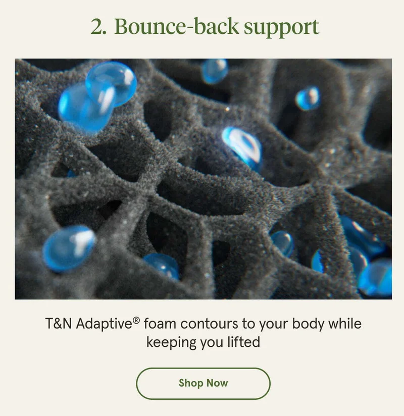 Bounce-back support