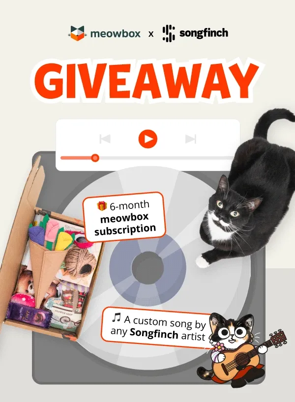 meowbox x Songfinch Giveaway. Image of a disc playing with the Furget-me-not Flower Shoppe meowbox (featuring toys like the Meowbile Arrangements, Cocoa & Cuddles 2 Pack, Stop and Smell Silvervine bouquet toys and more), black and white spotted cat and a illustrated cat playing a guitar on top.