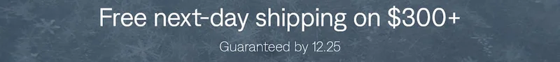 Free next-day shipping on $300+
