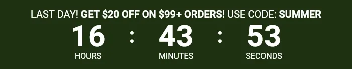 Countdown Timer