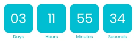 Timer from emailcountdowntimer.com