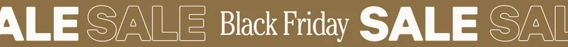 Black Friday Sale