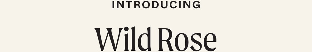 Wild Rose