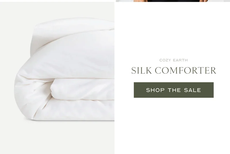 Shop The Silk Comforter