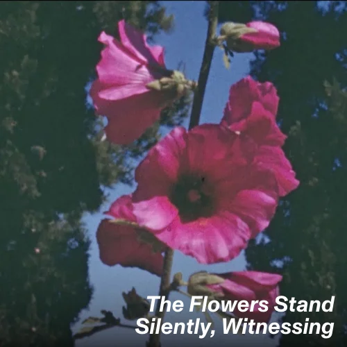 "The Flowers Stand Silently, Witnessing" film still.