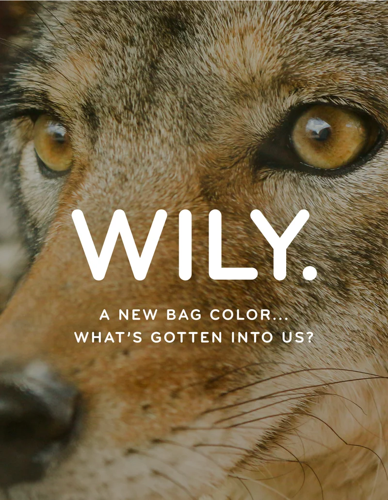 Wily. A new bag color, what's gotten into us?