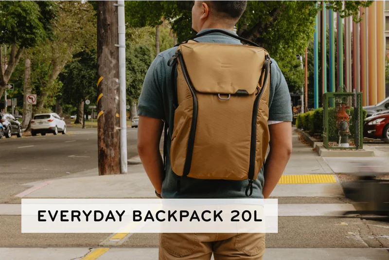 Everyday Backpack 20L