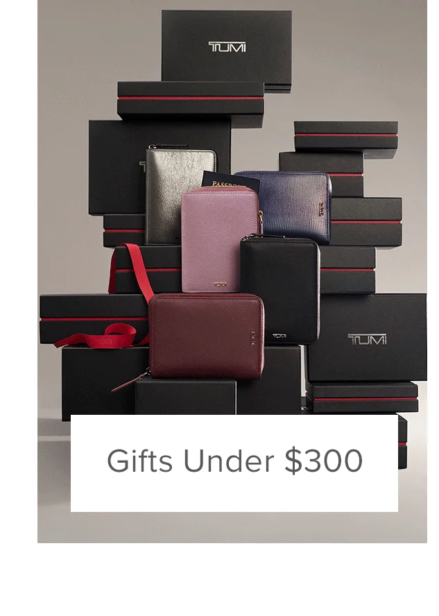 Gifts Under $300