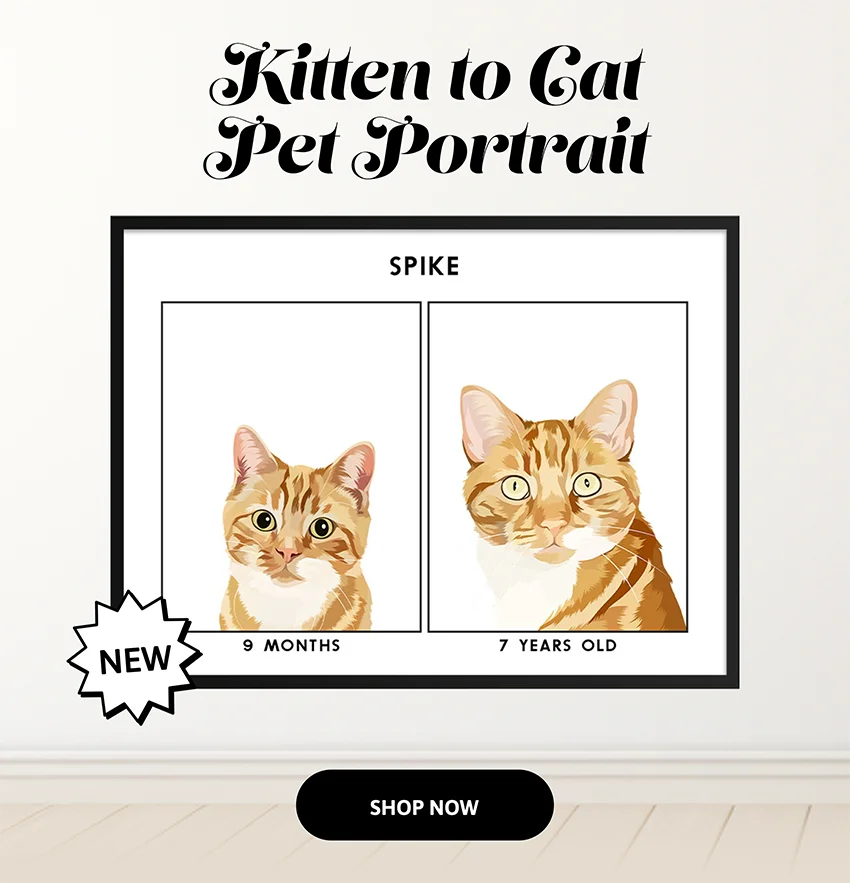 NEW: Kitten to Cat Modern Pet Portrait