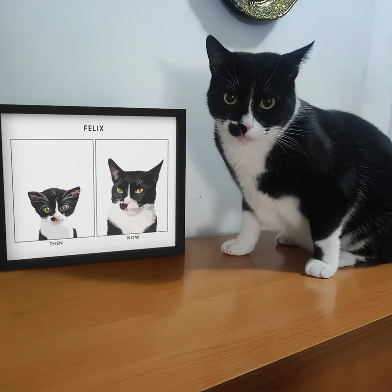 Customer photo of a cat stood next to his "Then vs Now" Pet Portrait