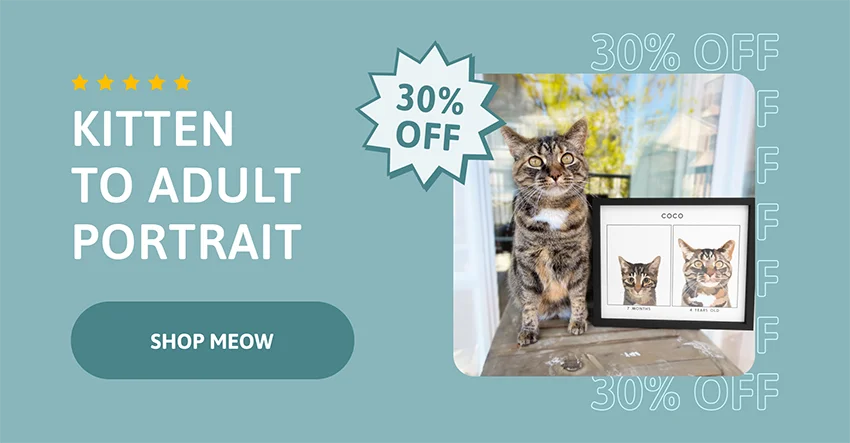 30% Off - Kitten to Adult Portrait