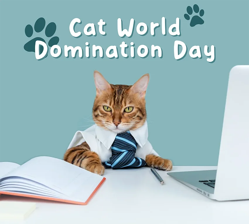 Cat World Domination Day