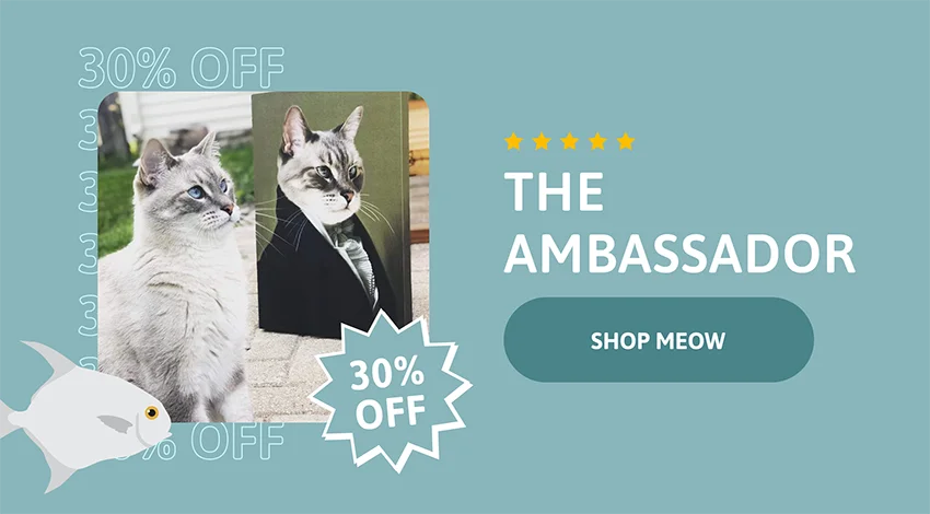 30% Off - The Ambassador