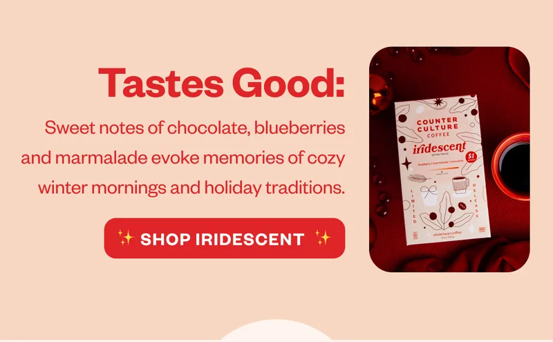 Tastes Good: Sweet notes of chocolate, blueberries and marmalade evoke memories of cozy winter mornings an holiday tradititons Shop Iridescent