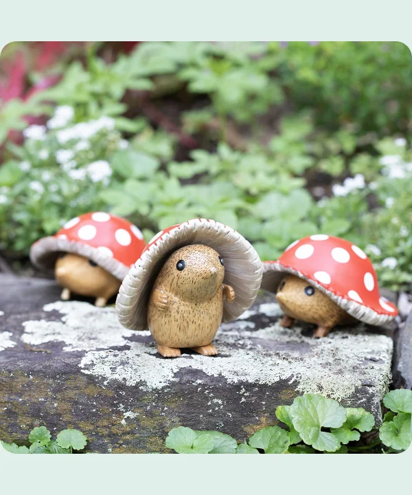 mushroom-garden-hedgie