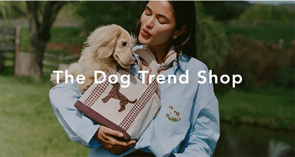 The Dog Trend Shop