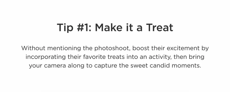 Make It A Treat