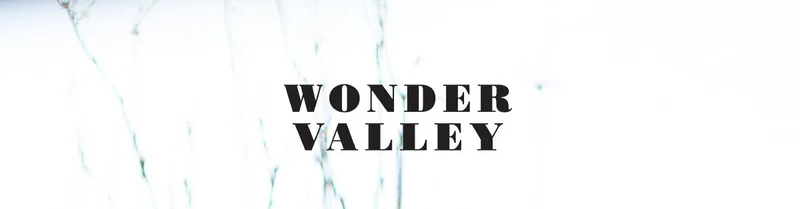 WONDER VALLEY