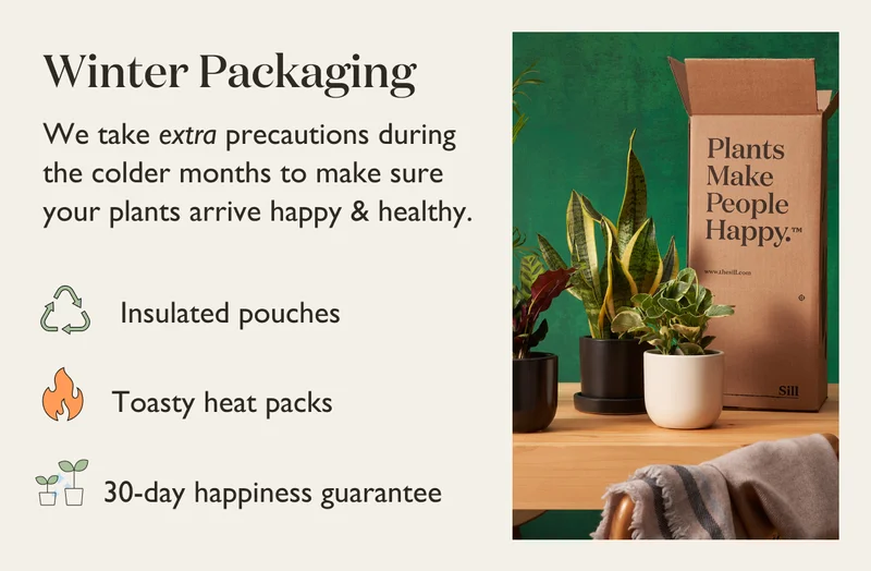 Rest assured we take extra precautions during the colder months to make sure your plants arrive happy and healthy.