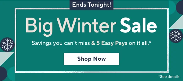 big winter sale