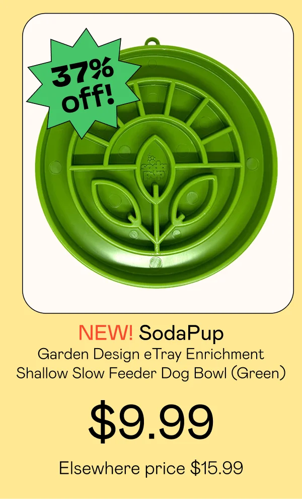 Garden Design eTray Enrichment Shallow Slow Feeder Dog Bowl - Green