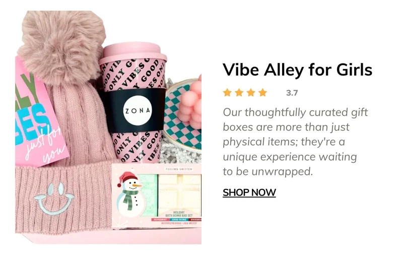 Vibe Alley Monthly Box for Teen and Tween Girls