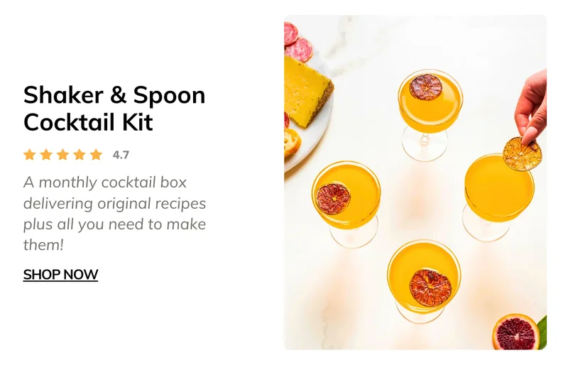 Shaker and Spoon Cocktail Kit
