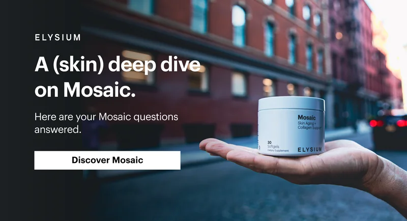 ELYSIUM | A (skin) deep dive on Mosaic. Here are your Mosaic questions answered. Discover Mosaic