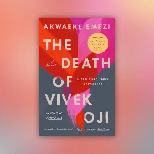 The Death of Vivek Oji