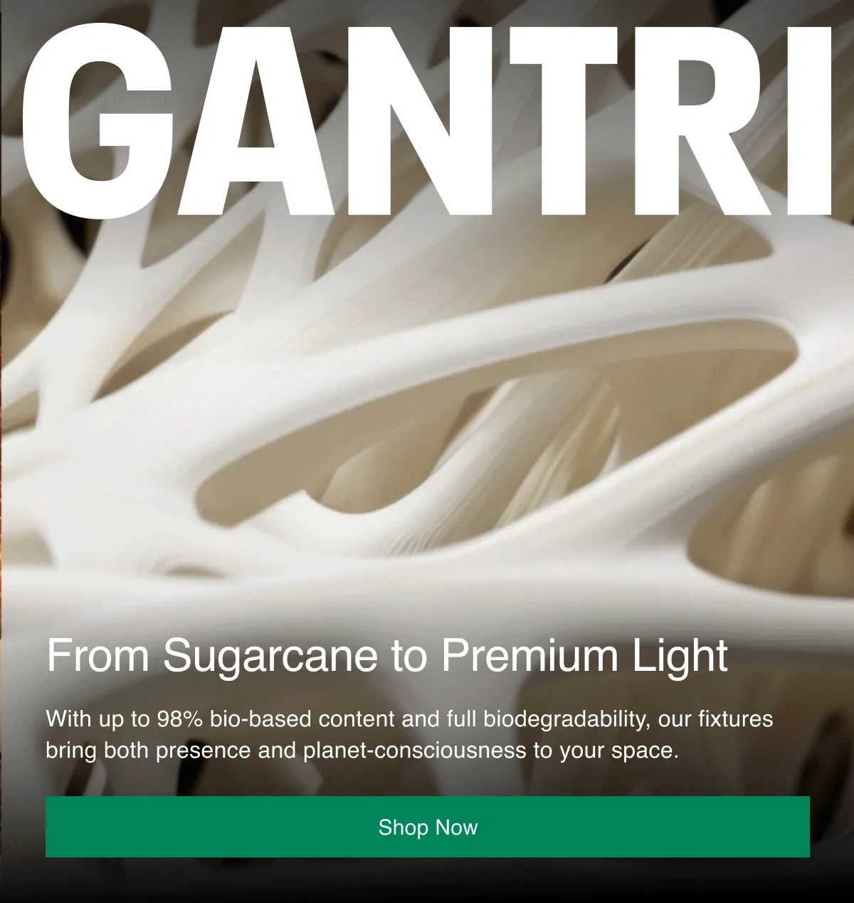 GANTRI | From Sugarcane to Premium Light