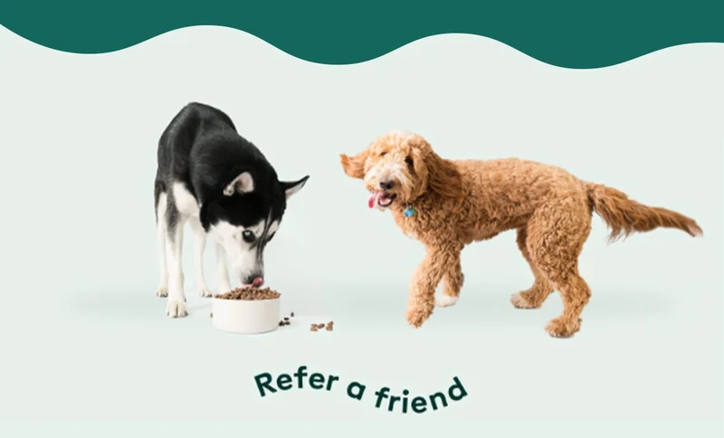 Refer a Friend