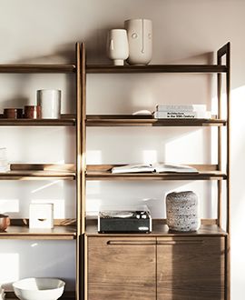 bookcases & shelves