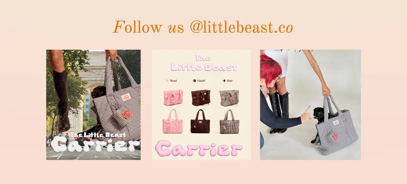 Follow us on Instagram