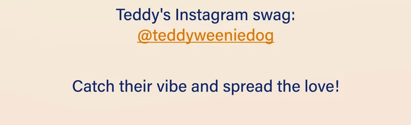 Teddy's instagram swag: