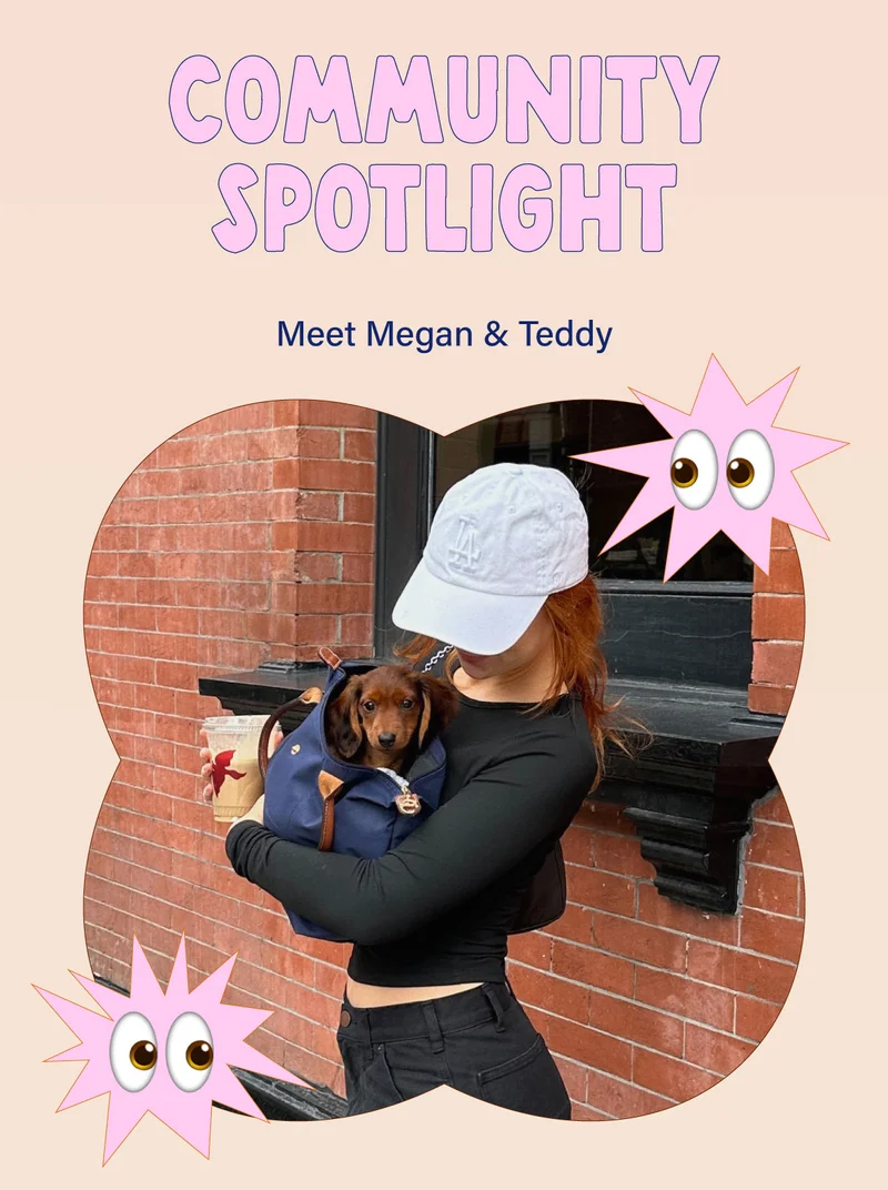 Community Spotlight Meet Megan & Teddy