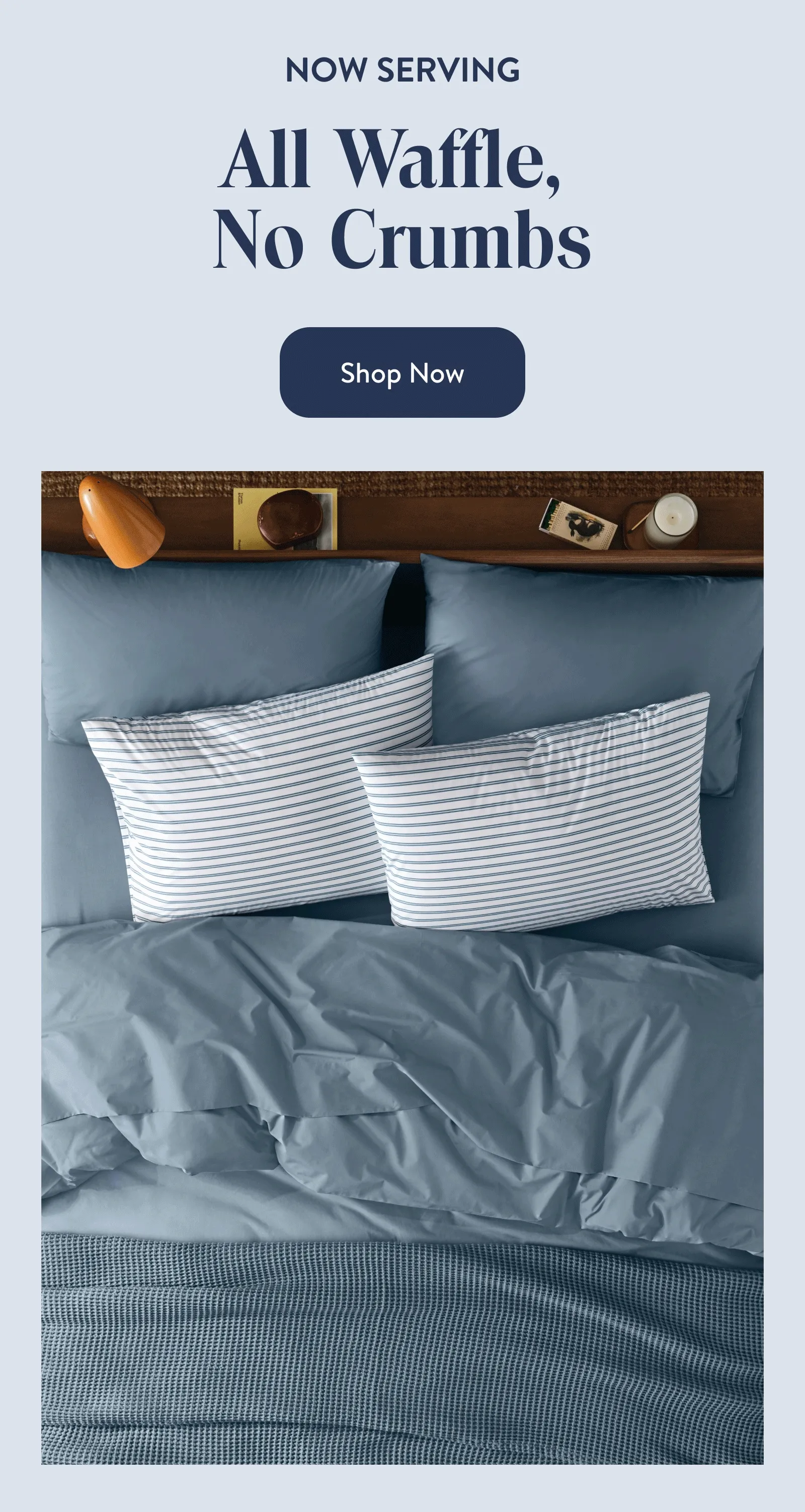 Shop Now