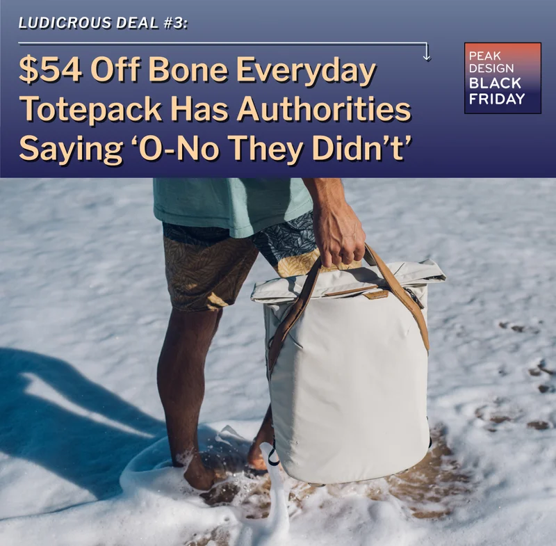 $54 off bone totepack