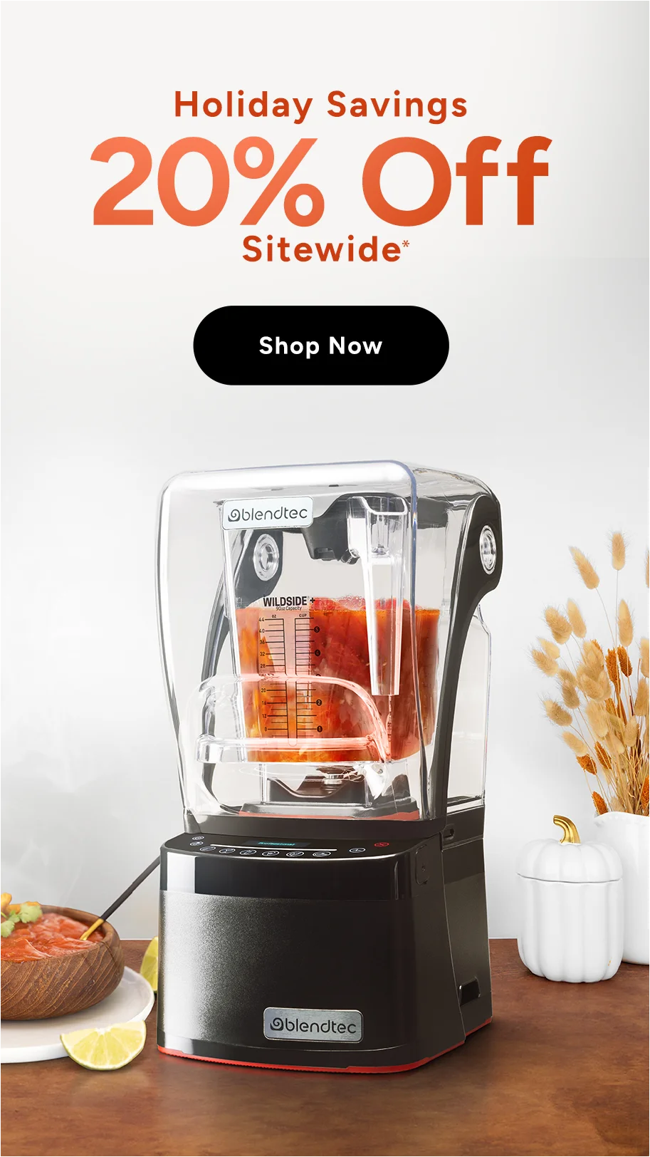 Blendtec - Holiday Savings